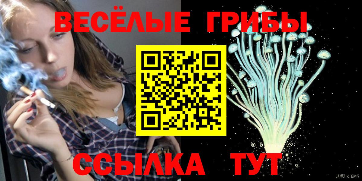 ТГК  Вход с VPN  Щёлково  МАРИХУАНА  Меф  Меф МЯУ МЯУ кристаллы  ГАШИШ  КОКАИН 