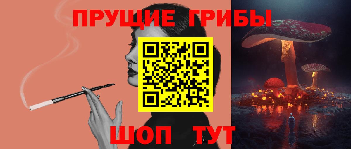 Щёлково  Псилоцибиновые грибы GOLDEN TEACHER  Вход с VPN 